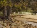 Water Under the Bridge