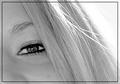 An Eye for Beauty