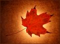 Fall in favour...