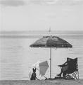 Shade for two
