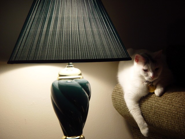 white light