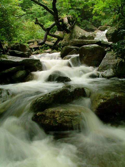 Mystic Mountain Springs