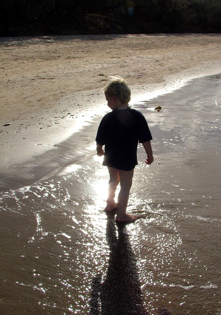 Looking for Sea Shells