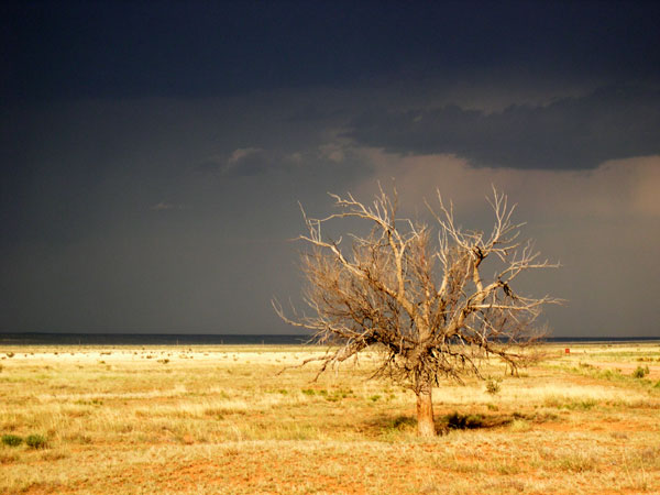 Lonely in New Mexico