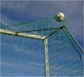 The Perfect Goal