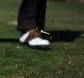 Golf Swing Aftermath