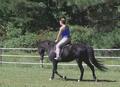 Girl on a Black Horse