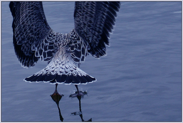 Walking on water