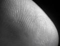Essence of Touch