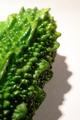 Cucumber Gone Wild!!