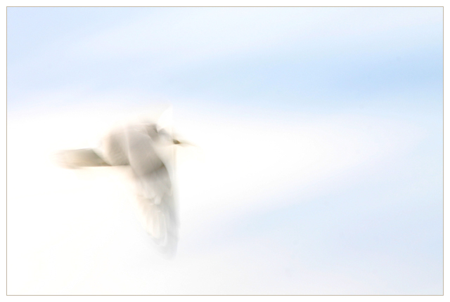 Air