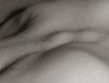 "LuC" a dorsal view
