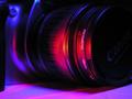 Lense Appeal