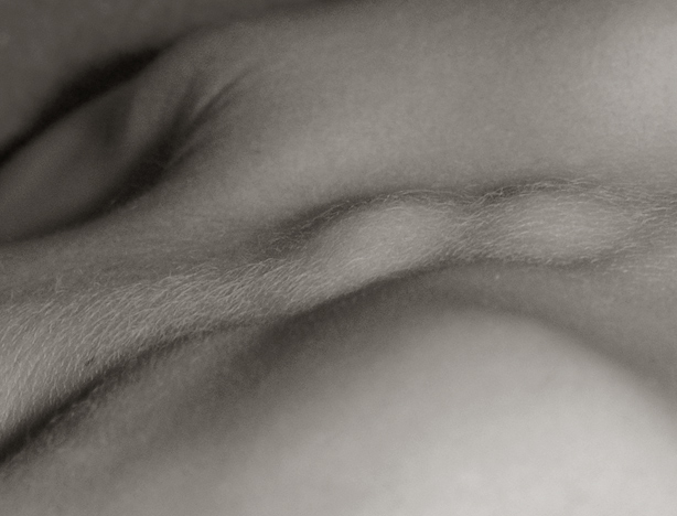 "LuC" a dorsal view