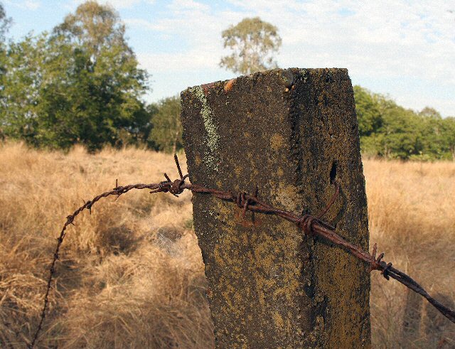 Piece of Post