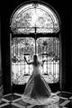 The Gilded Cage