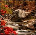 Autumn in the Rockies