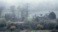 Out of the Mist