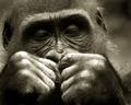 Thinking