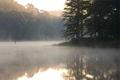 Early Morning Pond