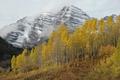 Maroon Bells Changing Seasons