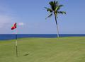 Golfing in Paradise