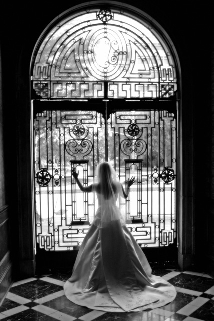 The Gilded Cage