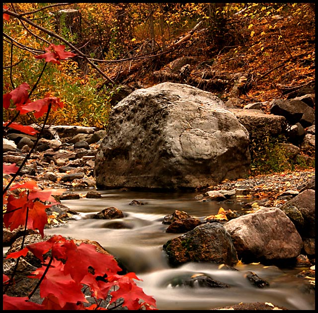 Autumn in the Rockies