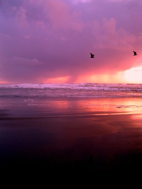 Gentle Shore