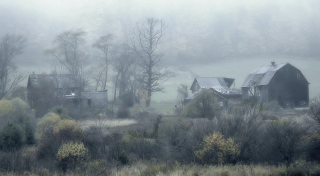 Out of the Mist