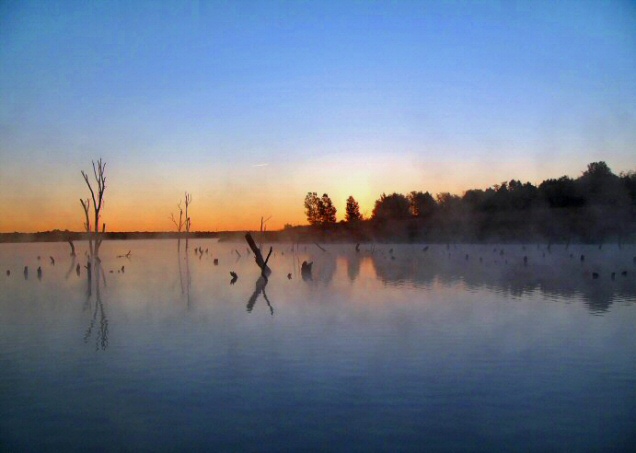 Serene Reflection