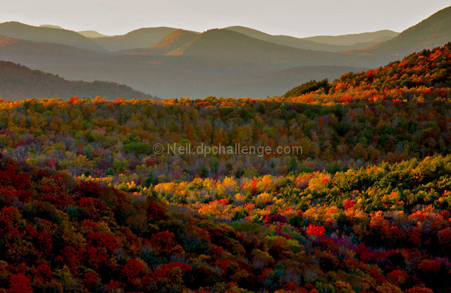 Autumn Tapestry
