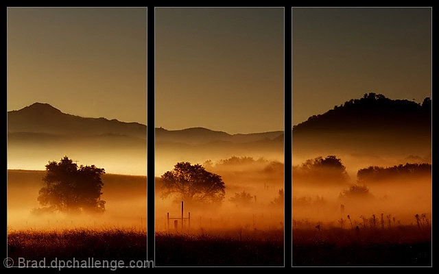 Daybreak