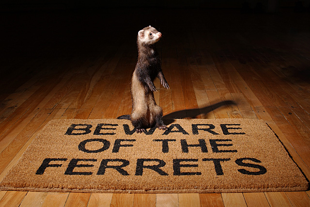 You've been warned!