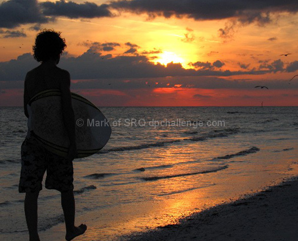 Sunset Surfer