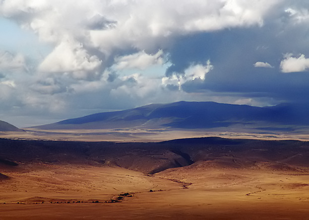 crater floor