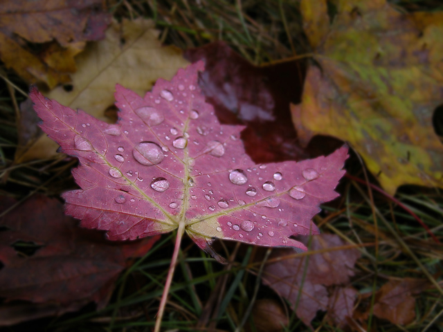 After The Rain