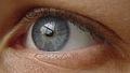 Window to the Soul