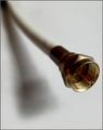 Internet Lifeline