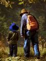 Guidance in Nature
