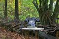 If a telephone rings in the forest . . . . .