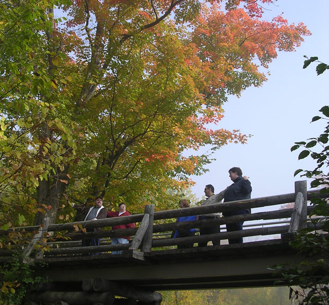 Bridge troll eavesdropping