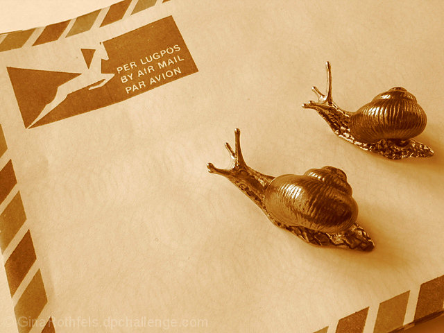 Snail Mail