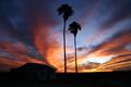 Arizona Sunset