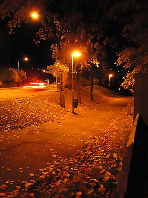  Walk To Work