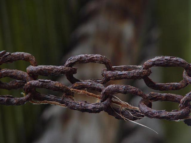 Pier Chain