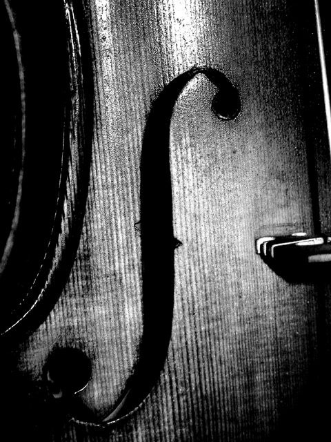 Portrait of an Old Violin