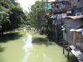 Squatters in polluted riverside