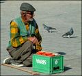 Poverty with pigeon.