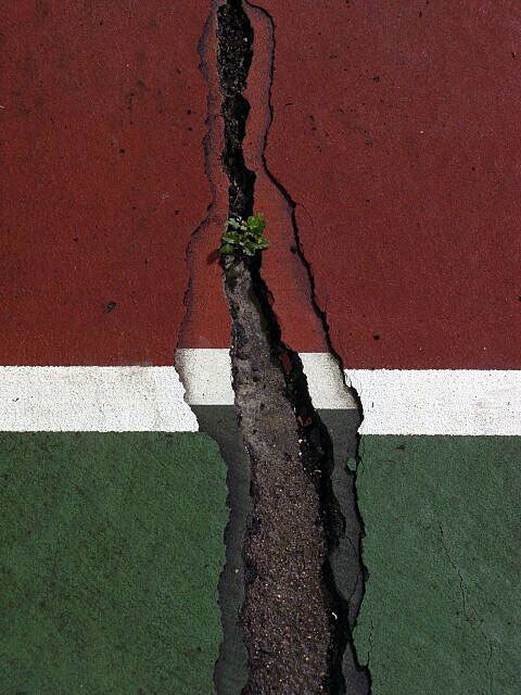 Fault Lines - Broken Courts